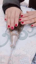 -U mi Nail美甲工作室