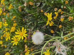 -剪刀石头布家居广场