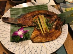 -紫滇源云南生态菜(丹凤街店)