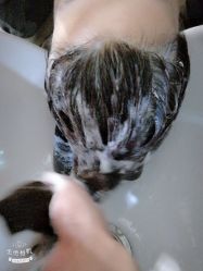 -苑苑发型设计