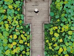 -清漾毛氏文化村