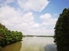 -上海海湾国家森林公园