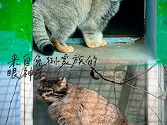 -青藏高原野生动物园