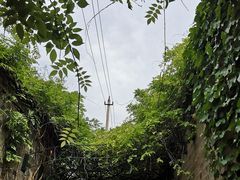 -老门东历史文化街区