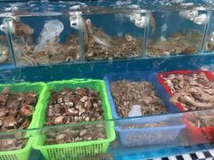 水产区-云南巷海鲜大咖·可加工海鲜