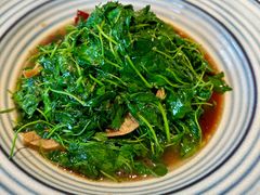 -新梅华餐厅(星悦汇店)