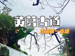 -黄葛古道