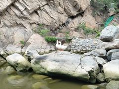 -灵溪风景区