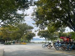 -东湖落雁景区