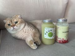 -36抹茶·千层与鲜果茶(欢乐海岸店)