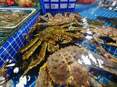 -霞涌市场海鲜摆卖区