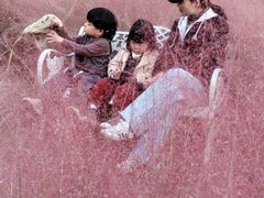 -南京奥林匹克体育中心-体育馆