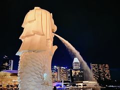 -新加坡摩天观景轮