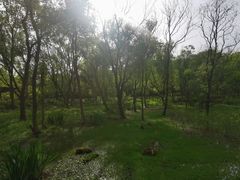 -西湖风景区-江洋畈生态公园