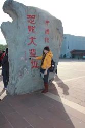-世界恐龙谷