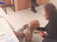 -美联众合动物医院·24h京西诊疗中心