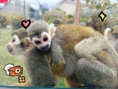 -石家庄市动物园