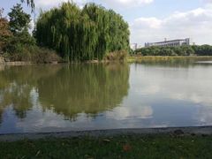 -东华大学(松江校区)
