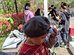 -吴淞炮台湾湿地森林公园烧烤区