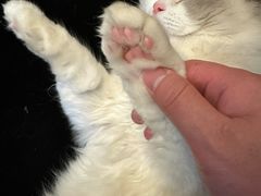 -猫遇摄影工作室