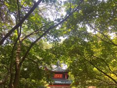 -岳麓山风景名胜区