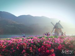 -广州市石门国家森林公园