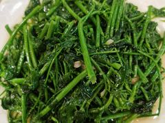南瓜苗-揭阳钟记小食(福田新村店)