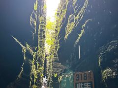 -梭布垭石林景区