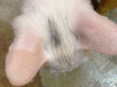 IMG_4352-MIKAKU(万达广场上海宝山店)