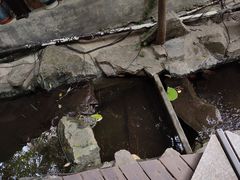 -生机蔬食·24节气料理餐厅(番禺广场店)