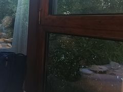-鱼翅楼·津派砂锅鱼翅(水上公园店)