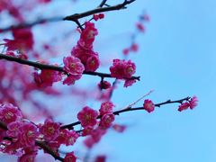 -大蜀山国家森林公园