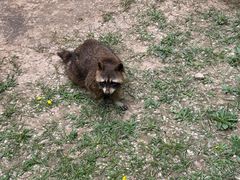 -青藏高原野生动物园