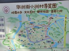 -小洲村