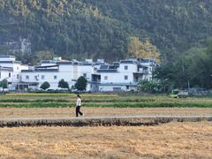 -大新明仕山庄