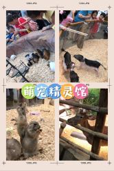 -欢乐舟·舟舟玩乐园