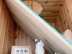 -猫在这儿猫咪咖啡馆·撸猫馆