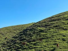 -广东天露山旅游度假区