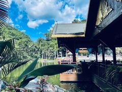 -西双版纳原始森林公园