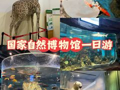-国家自然博物馆