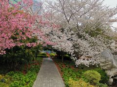 -北外滩滨江绿地