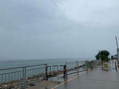 -杨梅坑