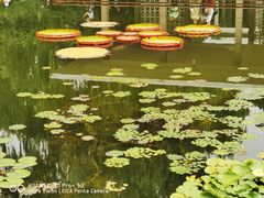 -国家植物园南园