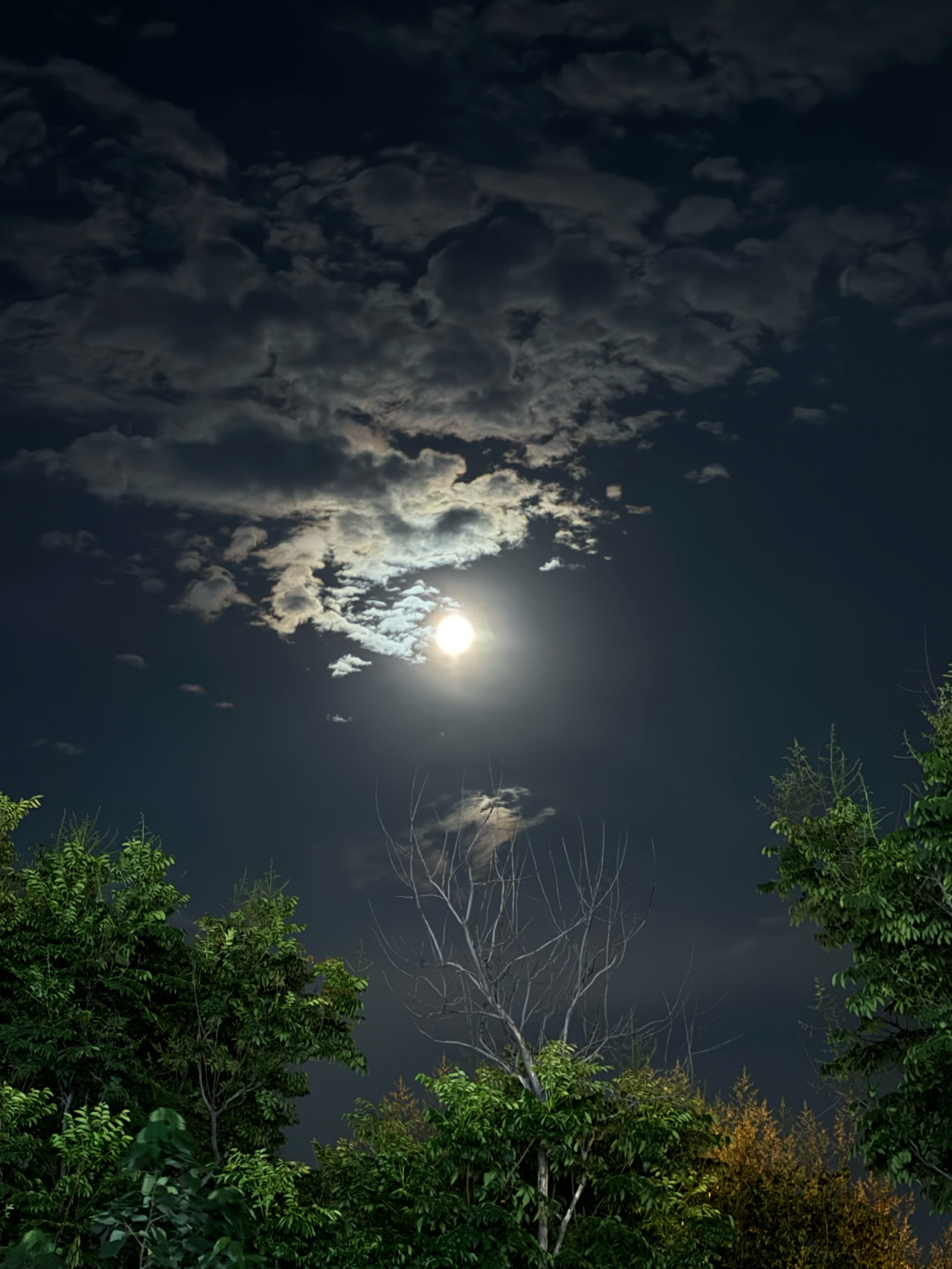 大连夜景壁纸图片