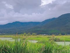 -腾冲北海湿地