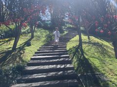 -七彩云南古滇温泉山庄