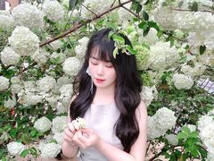 -大龙山(地铁站)