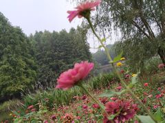 -梁鸿国家湿地公园