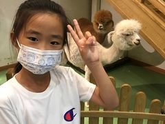 -藦茜花园宠物主题亲子互动体验馆(国顺东路店)