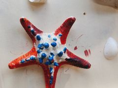 -奔驰上海利星(七宝店)